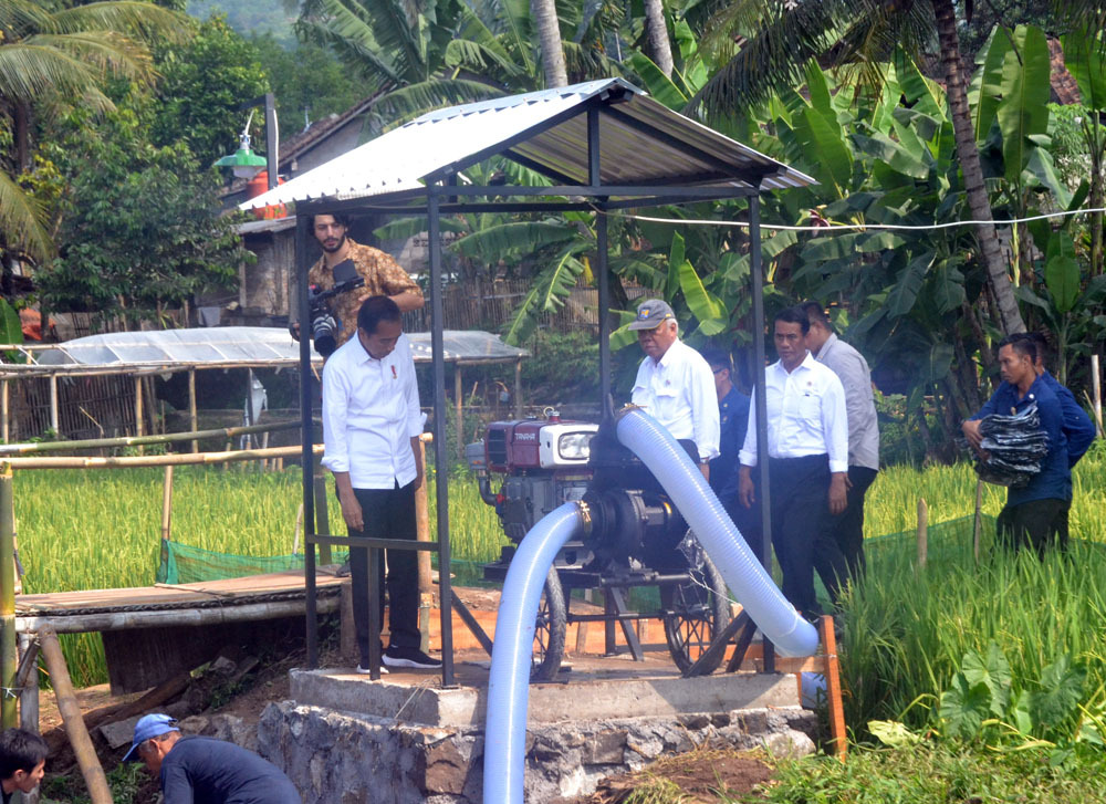 Jokowi harap pompanisasi dapat tingkatkan produksi beras Jokowi harap pompanisasi dapat tingkatkan produksi beras