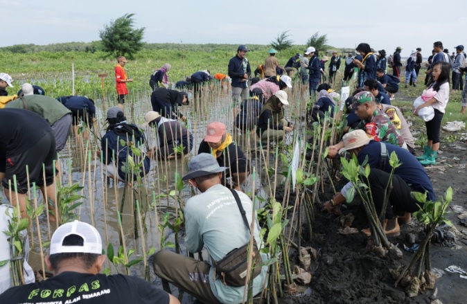 Mahasiswa 12 universitas di Semarang tanam 2.000 mangrove di pesisir
