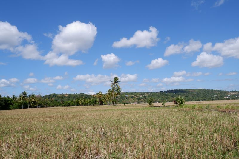 BMKG ingatkan potensi kebakaran hutan dan lahan di Pulau Timor BMKG ingatkan potensi kebakaran hutan dan lahan di Pulau Timor