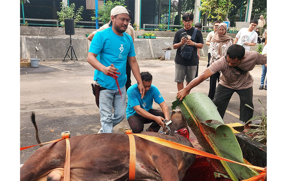 Berkurban di Iduladha, siswa diajarkan dengan cara menabung