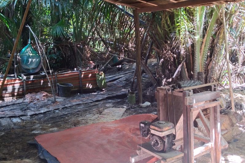 Negeri Rutong Ambon kembangkan ekowisata sagu jaga ketahanan pangan Negeri Rutong Ambon kembangkan ekowisata sagu jaga ketahanan pangan