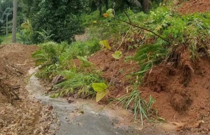 BNPB percepat pemulihan lingkungan terdampak longsor di Sinjai BNPB percepat pemulihan lingkungan terdampak longsor di Sinjai