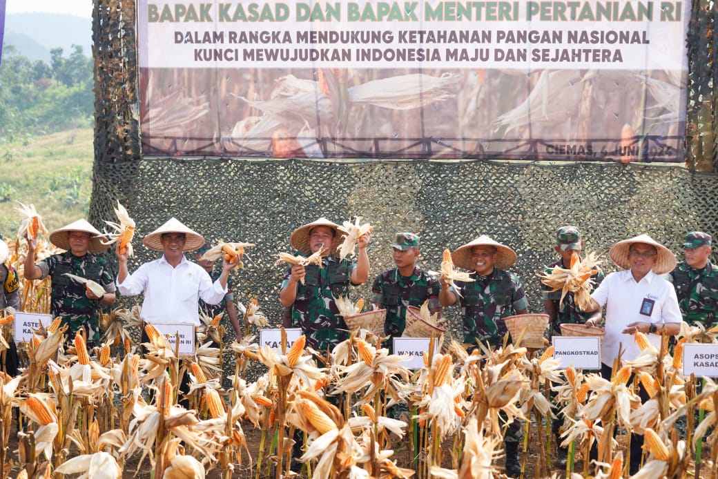 Kasad panen raya jagung dan singkong di lahan ketahanan pangan Kostrad Kasad panen raya jagung dan singkong di lahan ketahanan pangan Kostrad