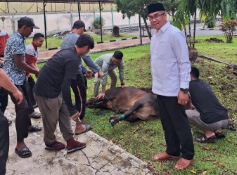 Idul Adha 1445 H, UPT Asrama Haji Medan sembelih 6 ekor lembu Idul Adha 1445 H, UPT Asrama Haji Medan sembelih 6 ekor lembuÂ