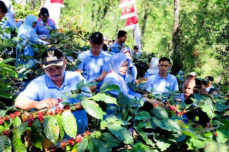 Menjaga industri kopi dari hulu hingga hilir Menjaga industri kopi dari hulu hingga hilir