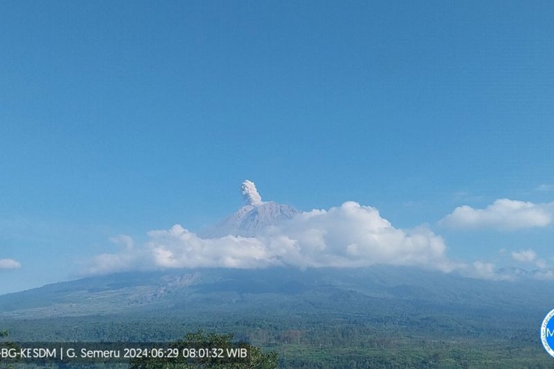 Gunung Semeru erupsi dengan letusan setinggi 900 meter Gunung Semeru erupsi dengan letusan setinggi 900 meter