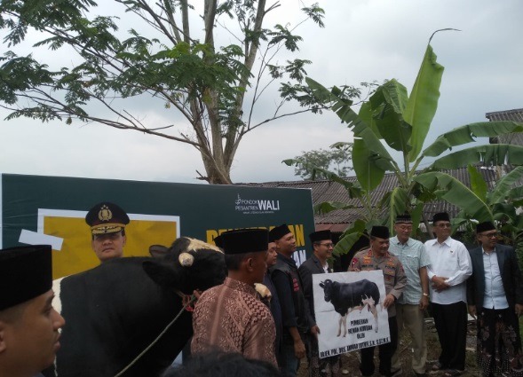 Kapolda Jateng bantu 3 ekor sapi kurban ke Ponpes Wali Kapolda Jateng bantu 3 ekor sapi kurban ke Ponpes Wali