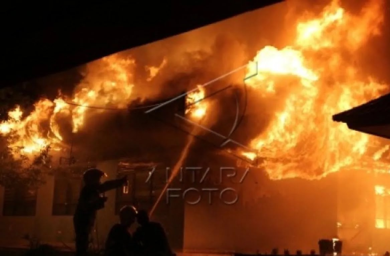 Pasar Bangkok berhenti operasi usai kebakaran tewaskan 5.000 hewan Pasar Bangkok berhenti operasi usai kebakaran tewaskan 5.000 hewan