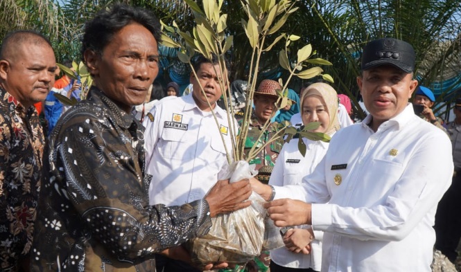 Peringati Hari Lingkungan Hidup, Pj Bupati Langkat tanam belasan ribu mangrove 