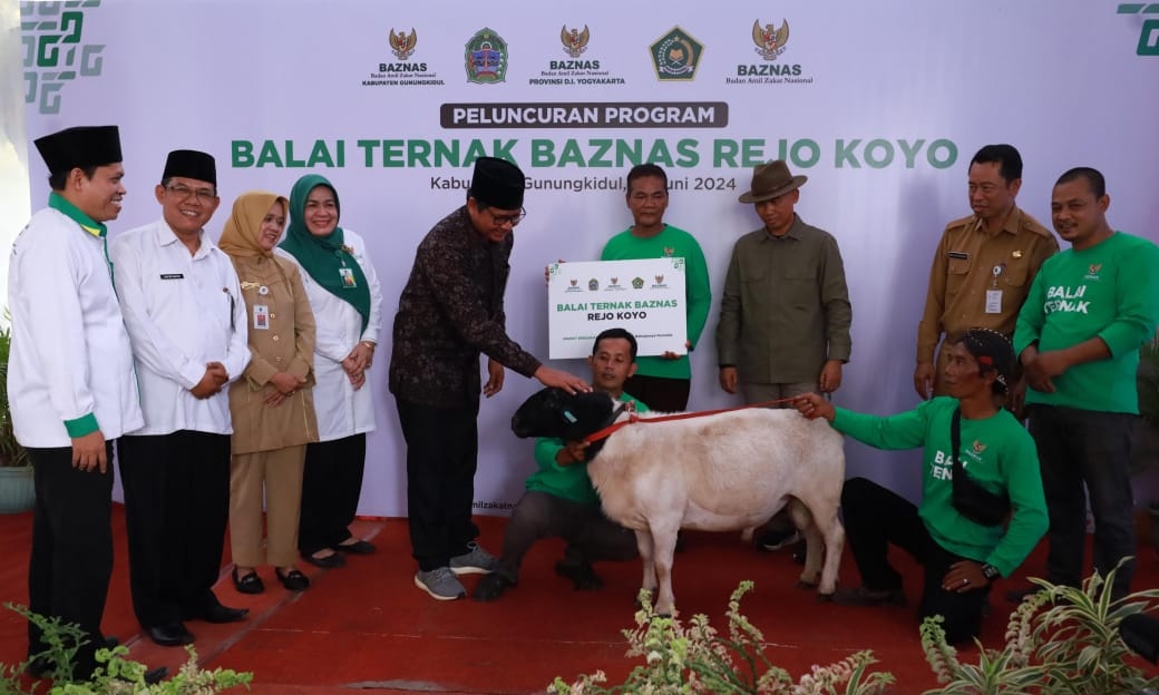 Dorong kesejahteran mustahik, BAZNAS RI luncurkan Balai Ternak di Gunungkidul, DIY Dorong kesejahteran mustahik, BAZNAS RI luncurkan Balai Ternak di Gunungkidul, DIY