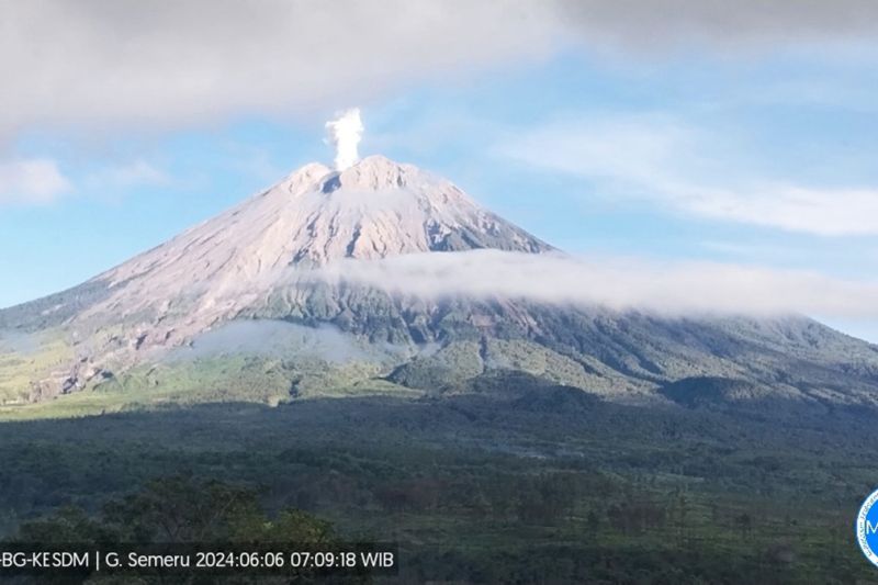 Gunung Semeru kembali erupsi disertai abu vulkanik setinggi 800 meter Gunung Semeru kembali erupsi disertai abu vulkanik setinggi 800 meter