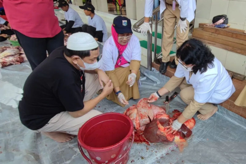 Dokter hewan: Segera kuliti kambing kurban bantu kurangi perengus Dokter hewan: Segera kuliti kambing kurban bantu kurangi perengus