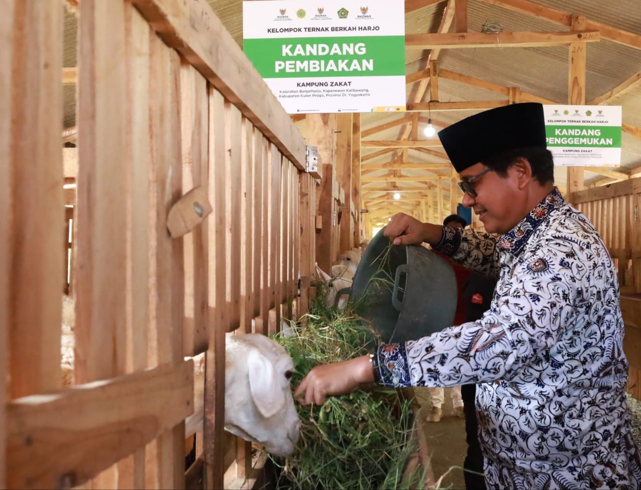 Berdayakan mustahik, BAZNAS RI luncurkan balai ternak di Kulon Progo, DIY Berdayakan mustahik, BAZNAS RI luncurkan balai ternak di Kulon Progo, DIY