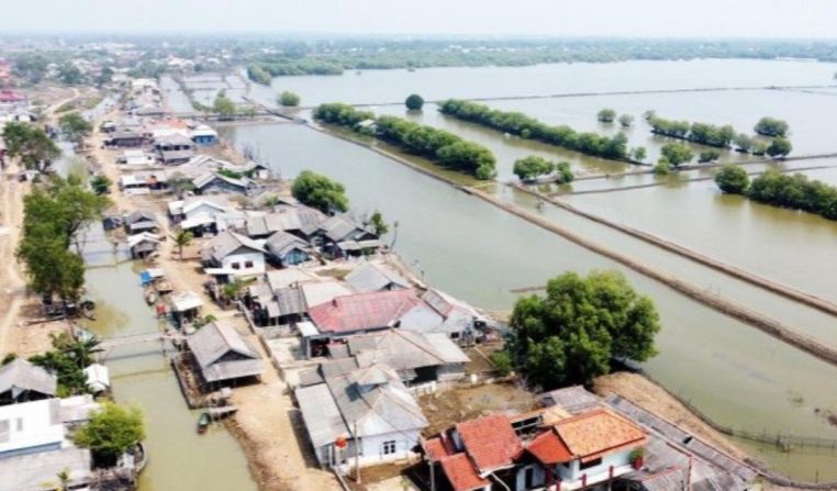 14.000 hektare lahan hutan Muaragembong Bekasi menanti sertifikasi 14.000 hektare lahan hutan Muaragembong Bekasi menanti sertifikasi