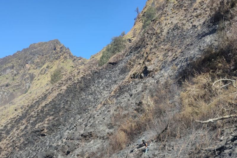 Cuaca panas picu kebakaran lahan di kawasan Gunung Rinjani