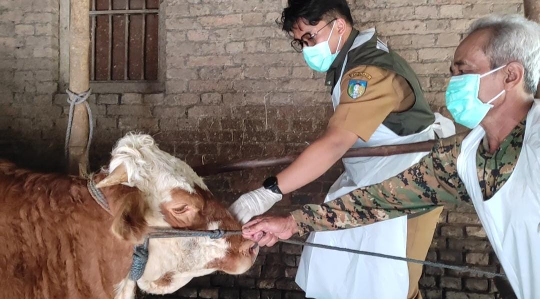 DKPP Kabupaten Kediri dalami penyebab matinya puluhan sapi milik peternak DKPP Kabupaten Kediri dalami penyebab matinya puluhan sapi milik peternak