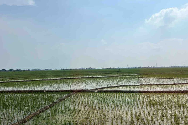 KSAD perintahkan jajaran bantu perairan sawah di Pulau Jawa KSAD perintahkan jajaran bantu perairan sawah di Pulau Jawa