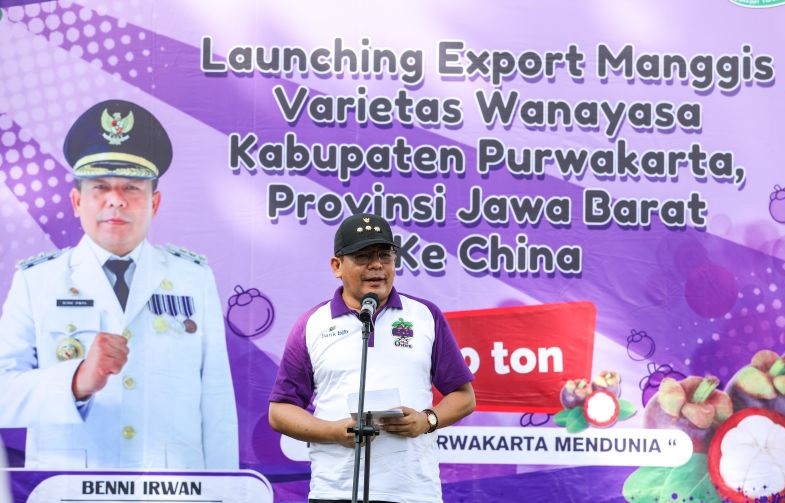 Pemkab Purwakarta ekspor 600 ton manggis ke China Pemkab Purwakarta ekspor 600 ton manggis ke China
