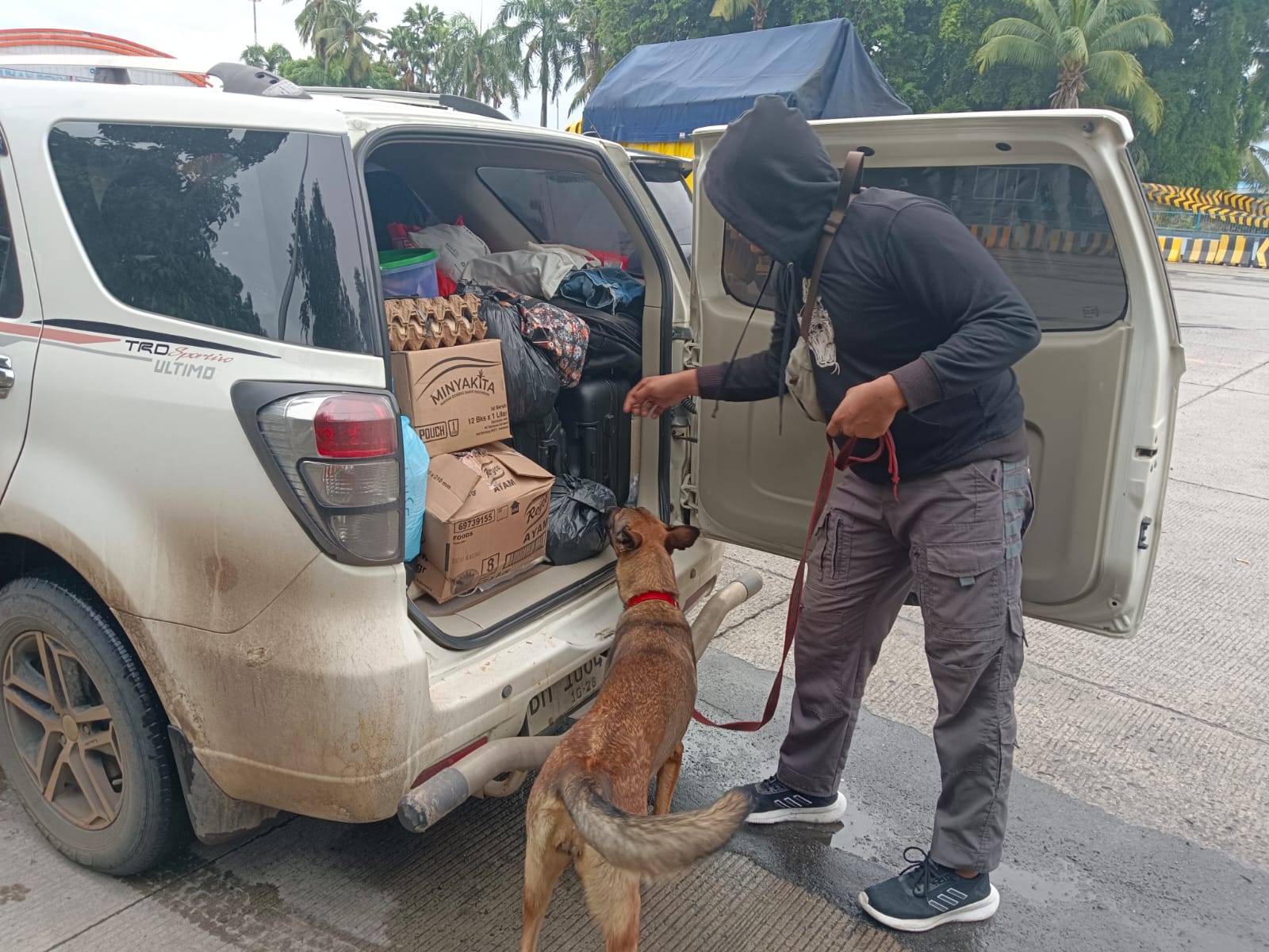 6 anjing K9 lacak peredaran narkoba di Pelabuhan Bakauheni, 8 tersangka diamankan 6 anjing K9 lacak peredaran narkoba di Pelabuhan Bakauheni, 8 tersangka diamankan