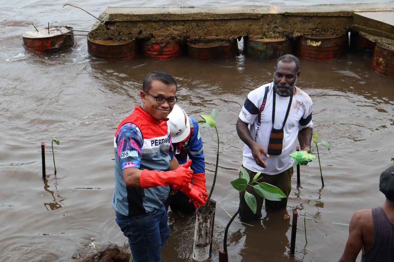 Pertamina Patra Niaga Regional Papua Maluku tanam 3.000 bibit mangrove Pertamina Patra Niaga Regional Papua Maluku tanam 3.000 bibit mangrove