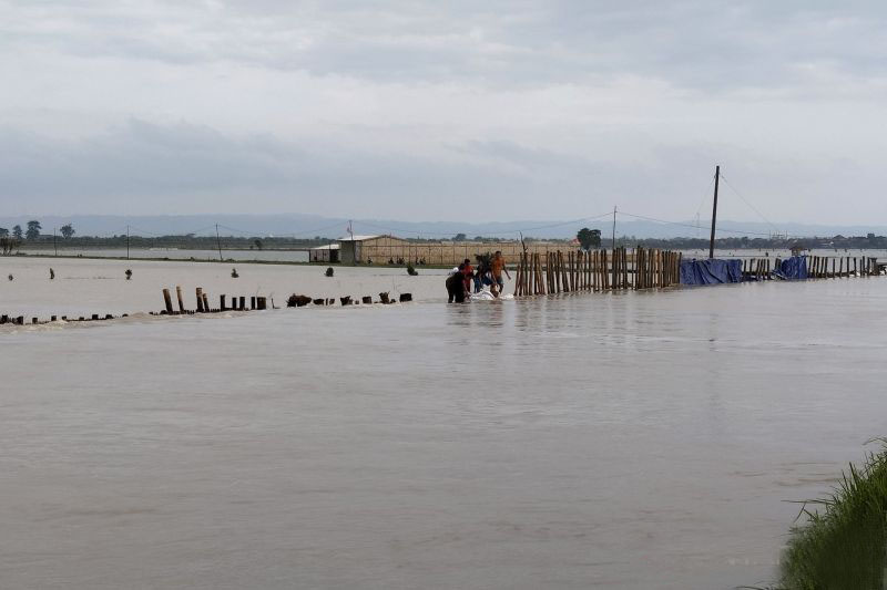 Banjir di Pantura Jawa ancam ketahanan pangan nasional