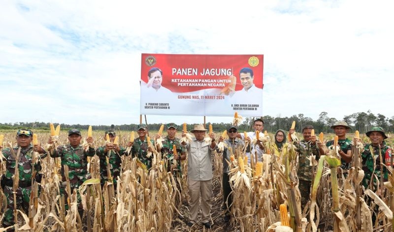Kementerian Pertahanan panen jagung di kawasan food estate Kalteng 
