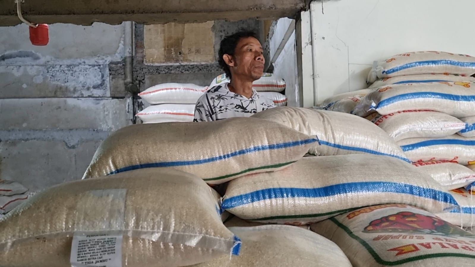 Harga beras medium dan premium turun, penjualan belum meningkat Harga beras medium dan premium turun, penjualan belum meningkat