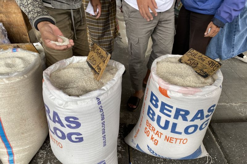 Ombudsman duga ada penyalahgunaan beras SPHP Ombudsman duga ada penyalahgunaan beras SPHP