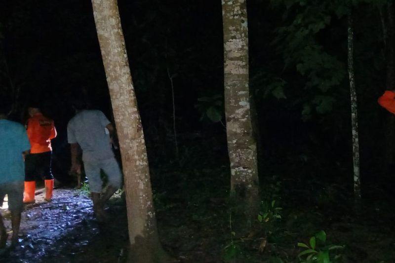 Basarnas Kendari cari pria hilang di hutan sagu
