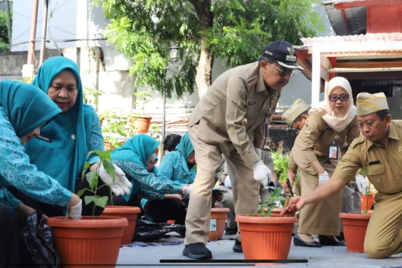 Pemkab Kepulauan Seribu miliki sentra tanaman perkuat ketahanan pangan Pemkab Kepulauan Seribu miliki sentra tanaman perkuat ketahanan pangan