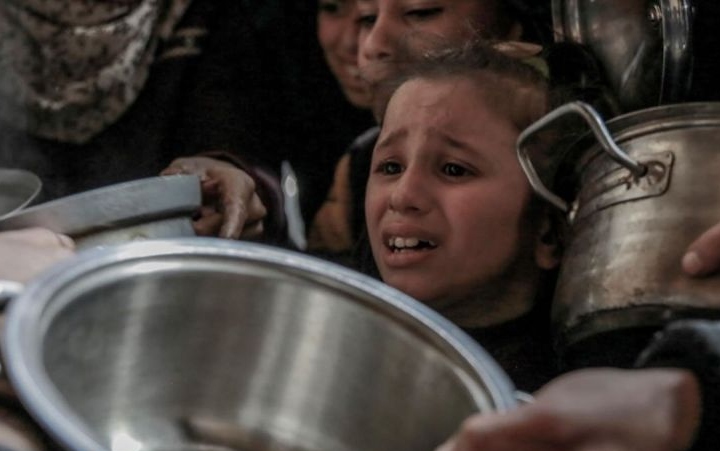 Menlu Afsel nyatakan bencana besar di Gaza jika gencatan senjata gagal dicapai