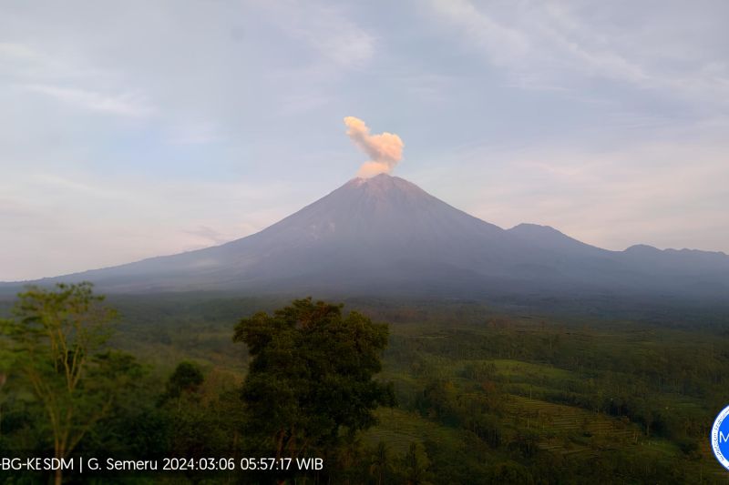 Gunung Semeru luncurkan abu vulkanik setinggi 800 meter Gunung Semeru luncurkan abu vulkanik setinggi 800 meter