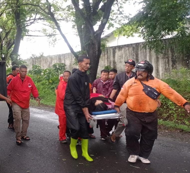 Pohon tumbang, tiga warga Kudus jadi korban saat melintas Pohon tumbang, tiga warga Kudus jadi korban saat melintas