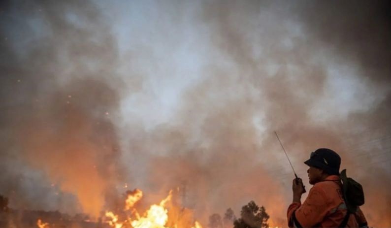 BNPB umumkan kasus Karhutla mulai mendominasi di Pulau Sumatera BNPB umumkan kasus Karhutla mulai mendominasi di Pulau Sumatera