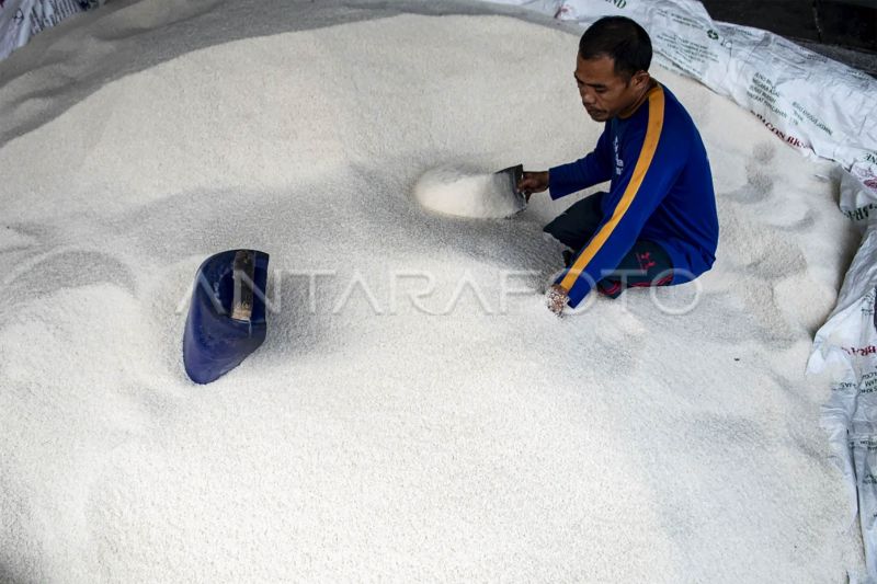 Pengusaha beras sebut harga beras turun, petani jangan rugi