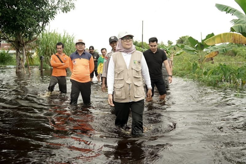 2.470 KK terdampak banjir luapan Sungai Rungan dan Sungai Kahayan