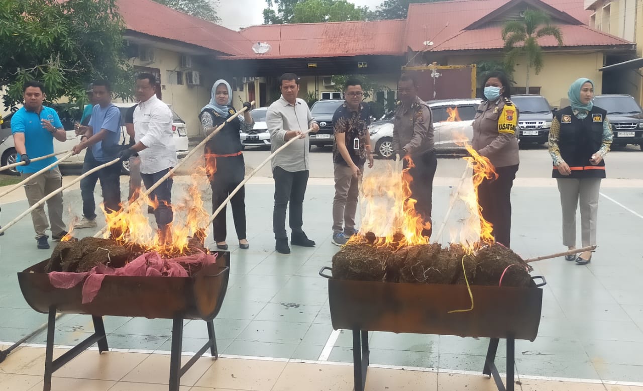 Polres Langkat musnahkan 30 kg ganja dan 4 kg sabu Polres Langkat musnahkan 30 kg ganja dan 4 kg sabu