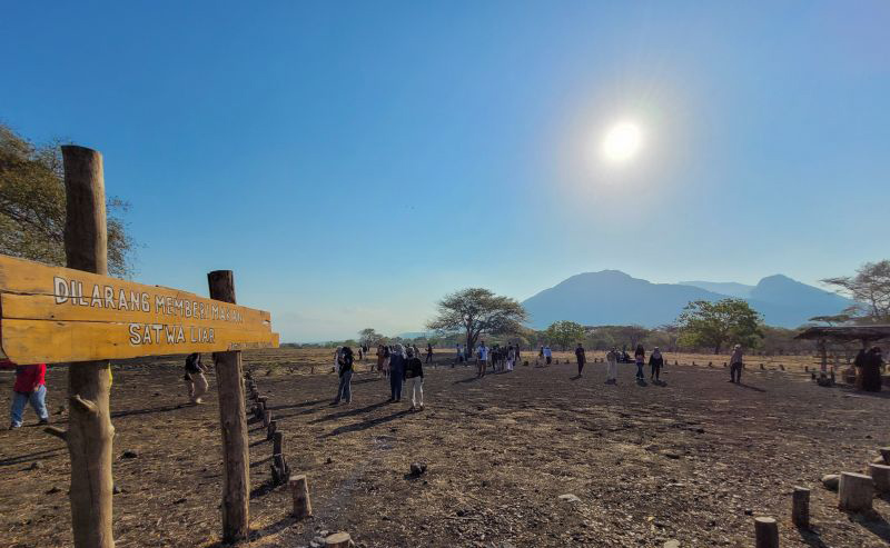 Taman Nasional Baluran Situbondo tutup sementara dampak cuaca ekstrem Taman Nasional Baluran Situbondo tutup sementara dampak cuaca ekstrem