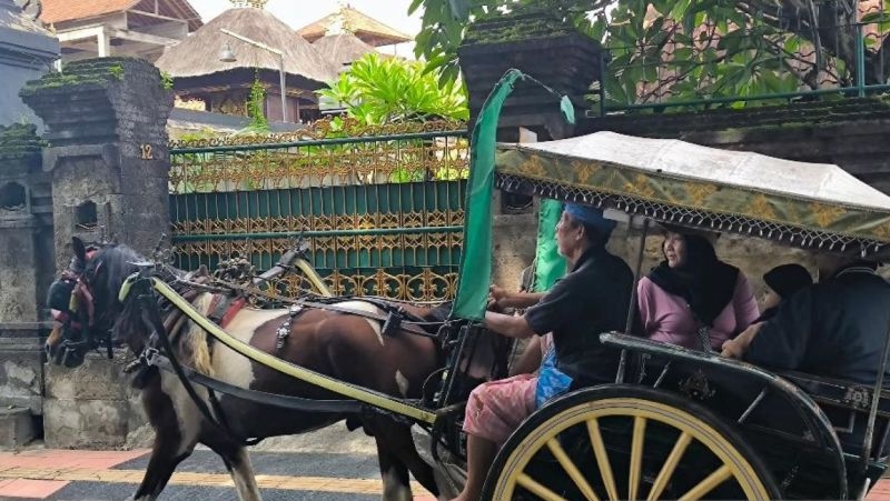 Layanan dokar gratis di Denpasar dinikmati lebih 1.000 wisatawan