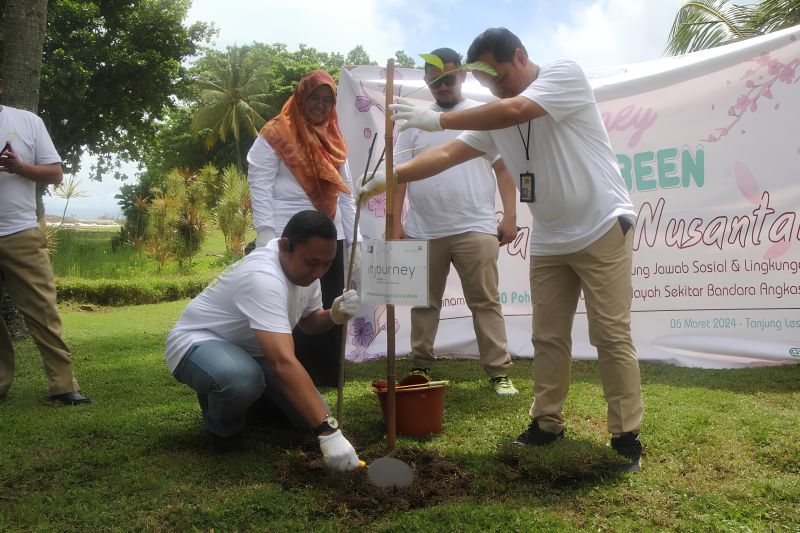 AP II tanam 15 ribu pohon Tabebuya di Tanjung Lesung Banten AP II tanam 15 ribu pohon Tabebuya di Tanjung Lesung Banten