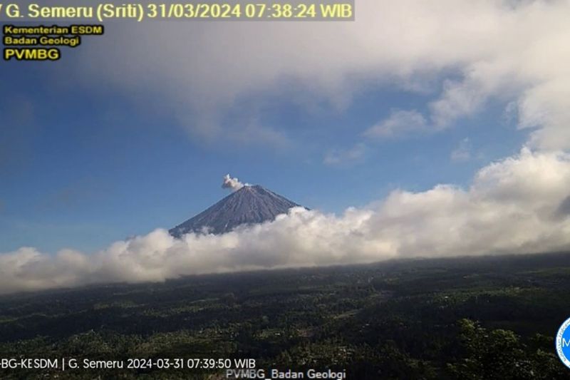 Gunung Semeru erupsi lontarkan abu vulkanik setinggi 600 meter Gunung Semeru erupsi lontarkan abu vulkanik setinggi 600 meter