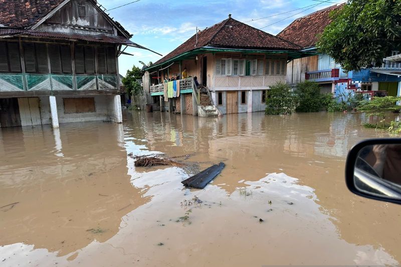 BPBD OKU Selatan: 442 rumah warga terdampak banjir