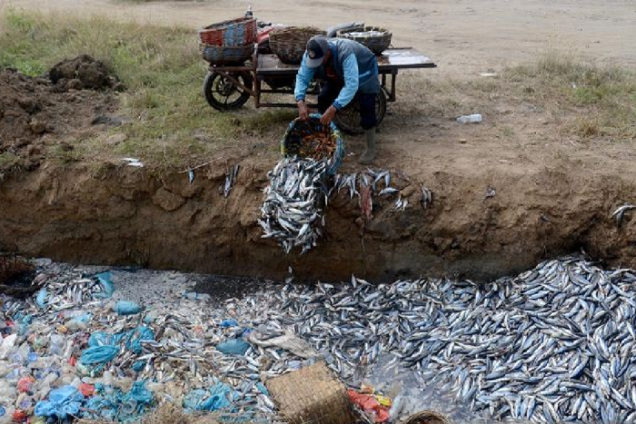 Pemprov Aceh perlu siapkan cold storage untuk tampung ikan nelayan