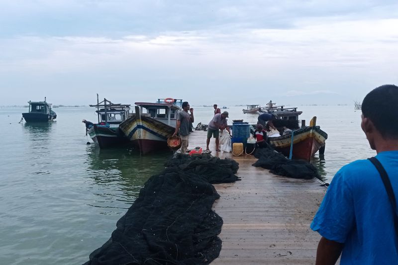 Permen KP Nomor 7 Tahun 2024 soal lobster disambut baik oleh nelayan Lebak