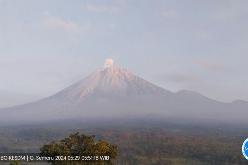 Gunung Semeru kembali erupsi dengan letusan setinggi 500 meter Gunung Semeru kembali erupsi dengan letusan setinggi 500 meter