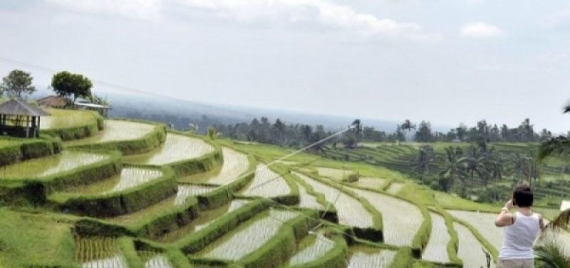 UNESCO sampaikan komitmen pertahankan subak sebagai warisan budaya