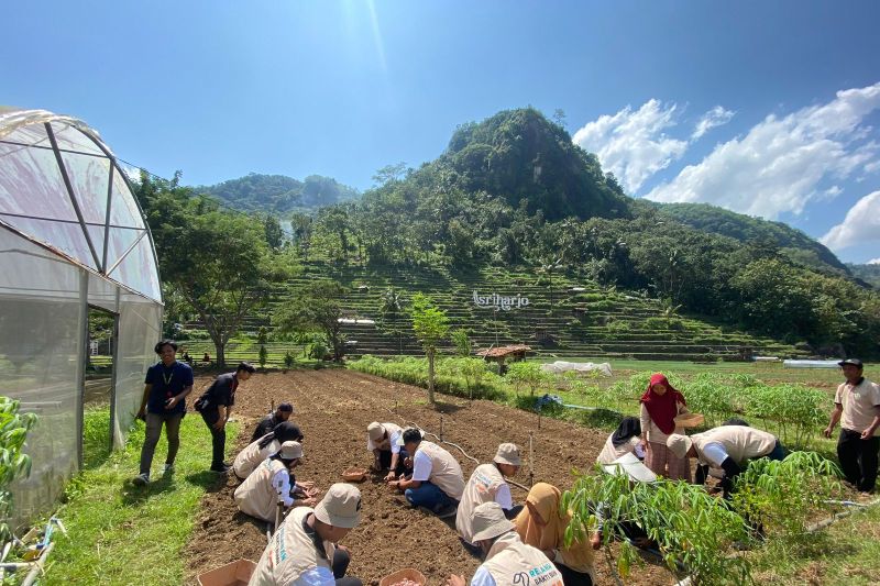 PPA-JIEP dukung pengembangan desa pertanian dan wisata Sriharjo di DIY PPA-JIEP dukung pengembangan desa pertanian dan wisata Sriharjo di DIY