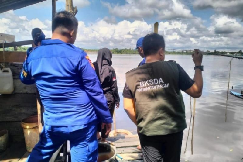 Seorang nenek di Kotim-Kalteng diserang buaya saat mencuci beras