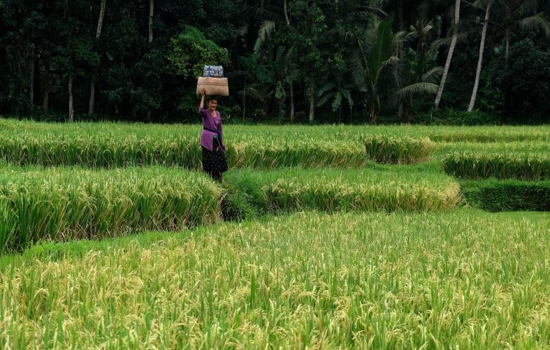 Kemenkominfo pastikan kesiapan jaringan 5G selama World Water Forum