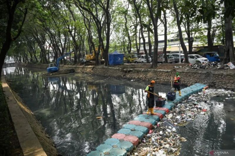 Legislator harap pulau sampah jadi sarana edukasi dan rekreasi Legislator harap pulau sampah jadi sarana edukasi dan rekreasi